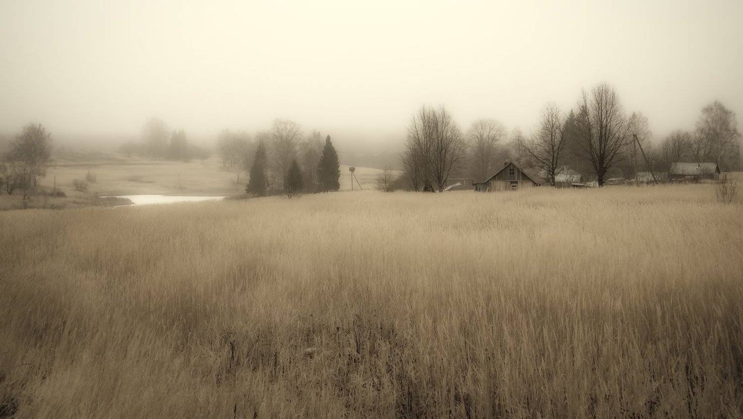 Хуторок. Автор: Николай Смолянкин , Николай Смолянкин