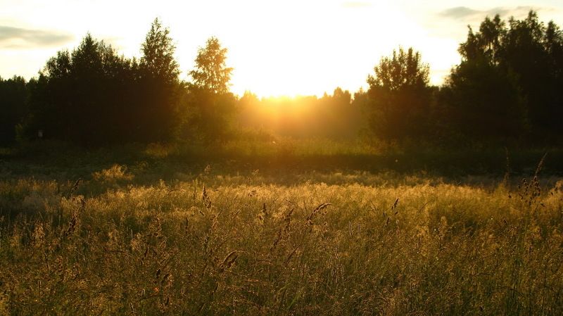 Рассветphoto preview