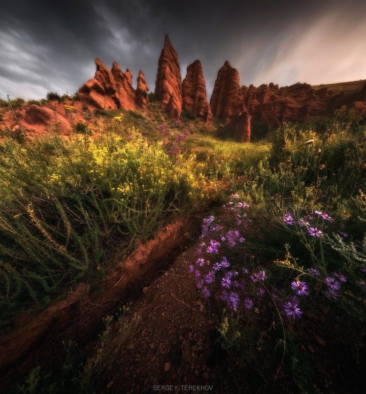Горы СарыТау, Казахстан, Плато Асы, Тянь-шань, Фотографии казахстана, Фотографы казахстана, Фототуры по Казахстану Горы Сары-Тауphoto preview