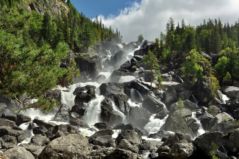 ревущий Учарphoto preview