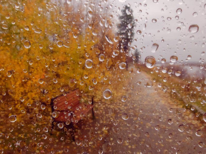 дождь, коми, печора, север, сентябрь Дождливый сентябрьphoto preview