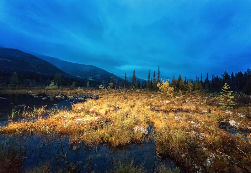 #природа #Россия #colour #colourful #forest #autumn #snow #russia #nature #nationalgeographic #travel #water #love #lovethis #canon #кольский #кольскийполуостров #natureonly #tree #traveltheworld #september #view #beautiful #photographer #river #feo_man # Хибиныphoto preview