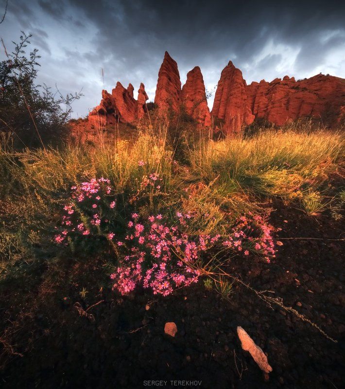 Казахстан, Плато Ассы, Плато Асы, Тянь-шань, Фотографии казахстана, Фотографы казахстана, Фототуры по Казахстану Августовский закат в горах Сары-Тауphoto preview