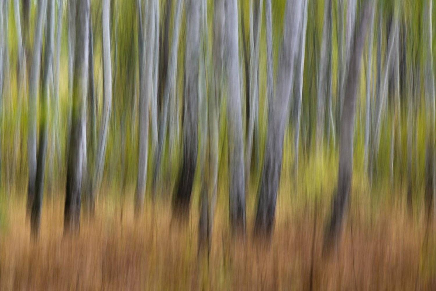 ***. Автор: Evgeny Melnikov , Evgeny Melnikov