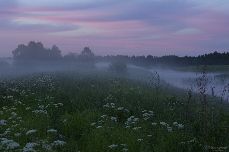 Туман, Закат, Река, Берег, Травы, Пейзаж, Краски Молочные реки кисельные берега у Тезы под конец самого долгого дня в годуphoto preview