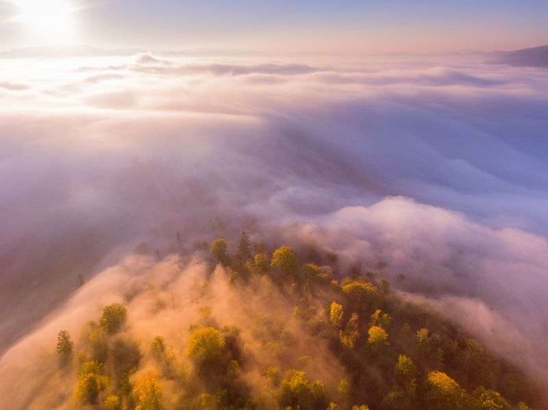 Туманное утро в Карпатахphoto preview