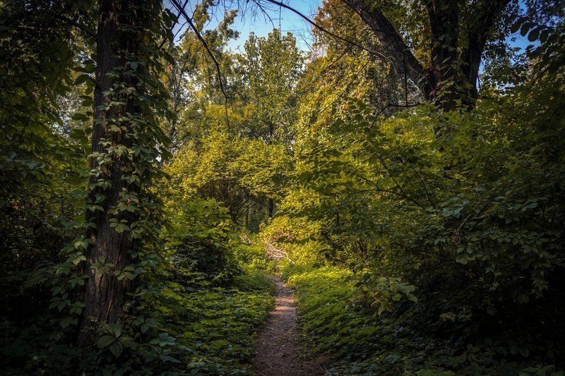 Казахстан, Алматы, ботанический, сад, тропинка Ботанический садphoto preview