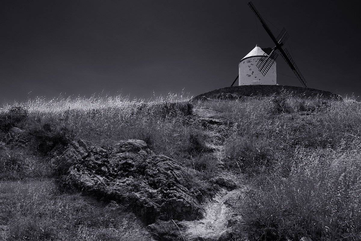 по дорогам Росинанта. Автор: Игорь Дубровский , Игорь Дубровский