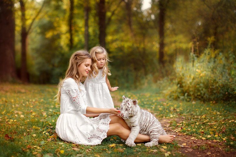 тигренок, мама, доча, семья, дочка, девочки, альбинос, блондинки Игры с тигренкомphoto preview