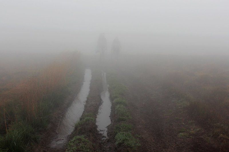 две колеиphoto preview