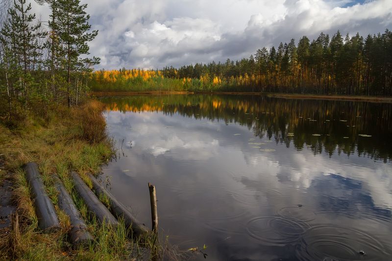 Скромное очарованиеphoto preview