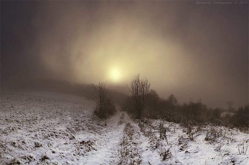 Dialogue XIXphoto preview