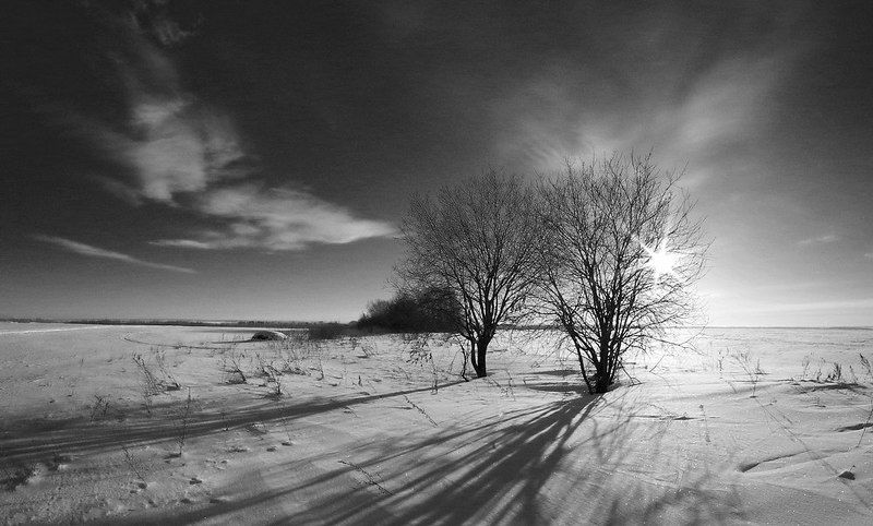 Зима, Снег, Чб 10.12photo preview