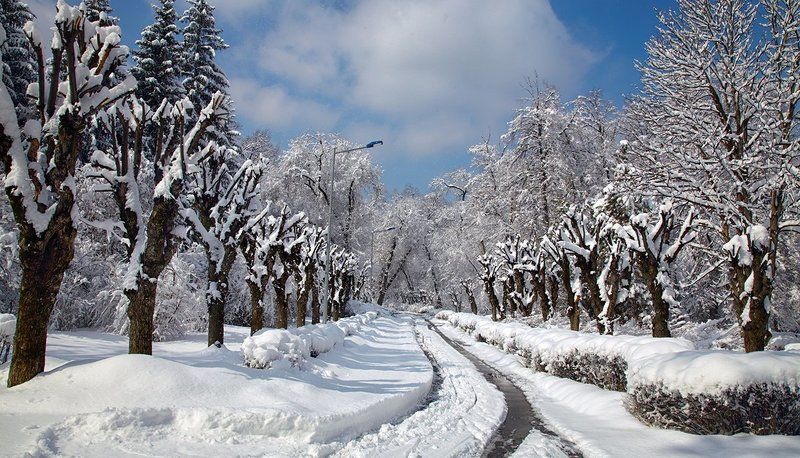 Первый снег ...photo preview