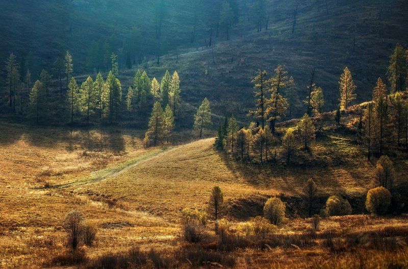 Восточный Казахстанphoto preview