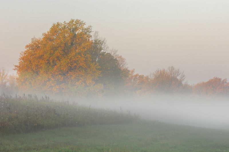 abstract; autumn; background; beautiful; beauty; blue; branch; bright; colorful; countryside; day; environment; fall; fog; foliage; forest; fresh; golden; grass; green; landscape; leaf; leaves; light; lush; morning; mountain; natural; nature; orange; outd И мглой волнистою покрыты небеса, И редкий солнца луч, и первые морозы, И отдаленные седой зимы угрозы.photo preview