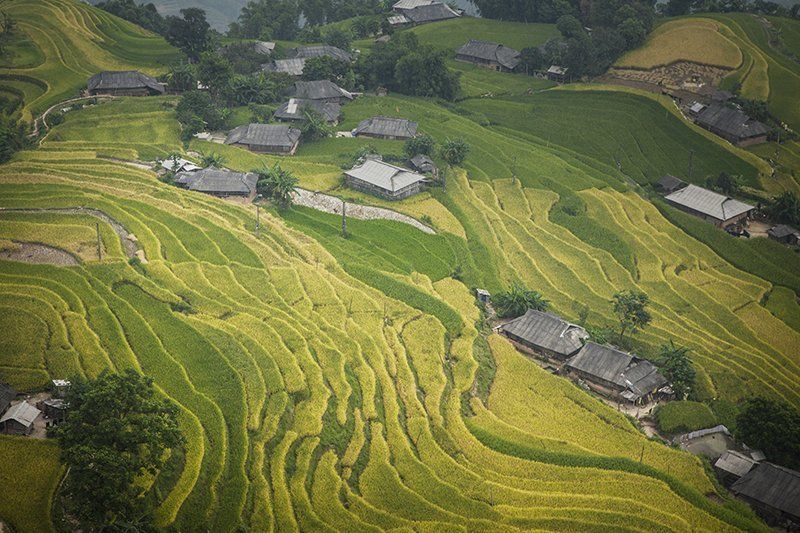 Vietnam villagephoto preview