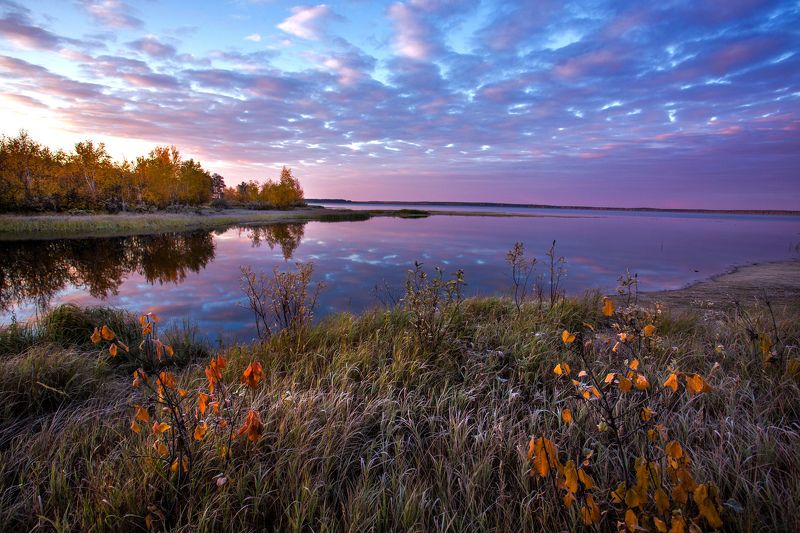 Кондинские озера, Озеро Арантур, Осень, Природный парк, Рассвет, Река, Устье Заморозки фото превью