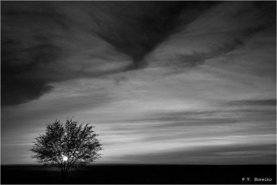 Вороново крыло. Автор: Вадько , Вадько