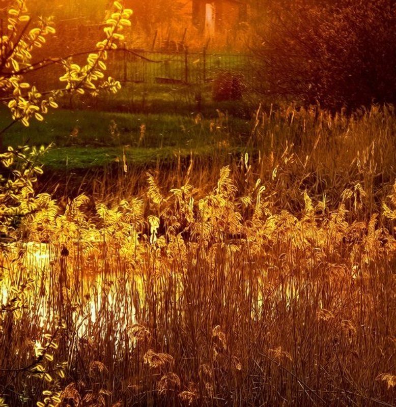 eddimar, пейзаж Расплавленная медь солнца... заливает вечер... фото превью