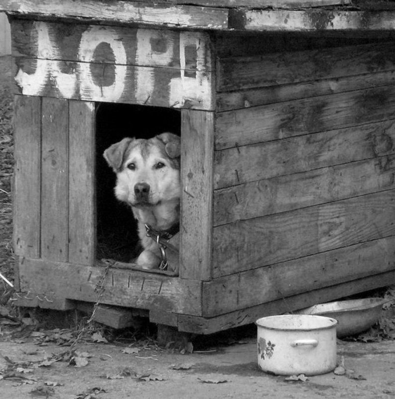 Палата лордовphoto preview