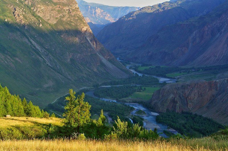 горный, алтай, утро \