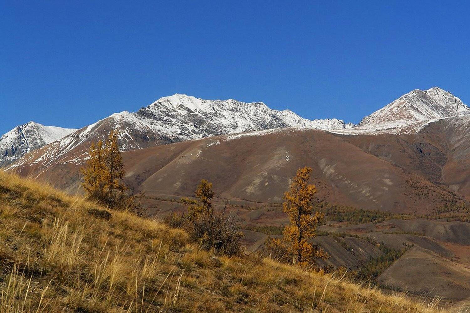 горный, алтай, осень, горы, Наталья Кайзер