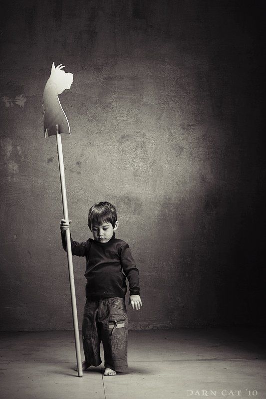 мальчик, деревянная лошадка, принц, дон кихот, росинант О принцах и белых коняхphoto preview