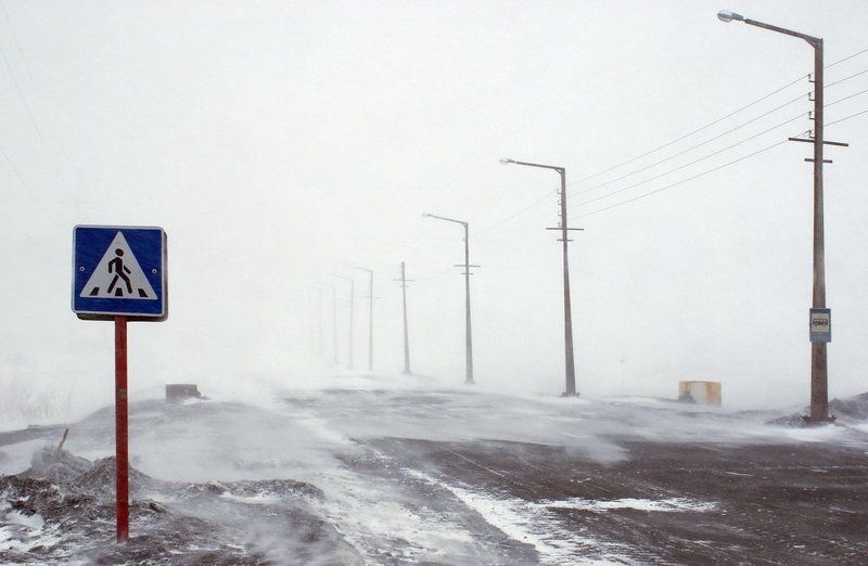 метельphoto preview