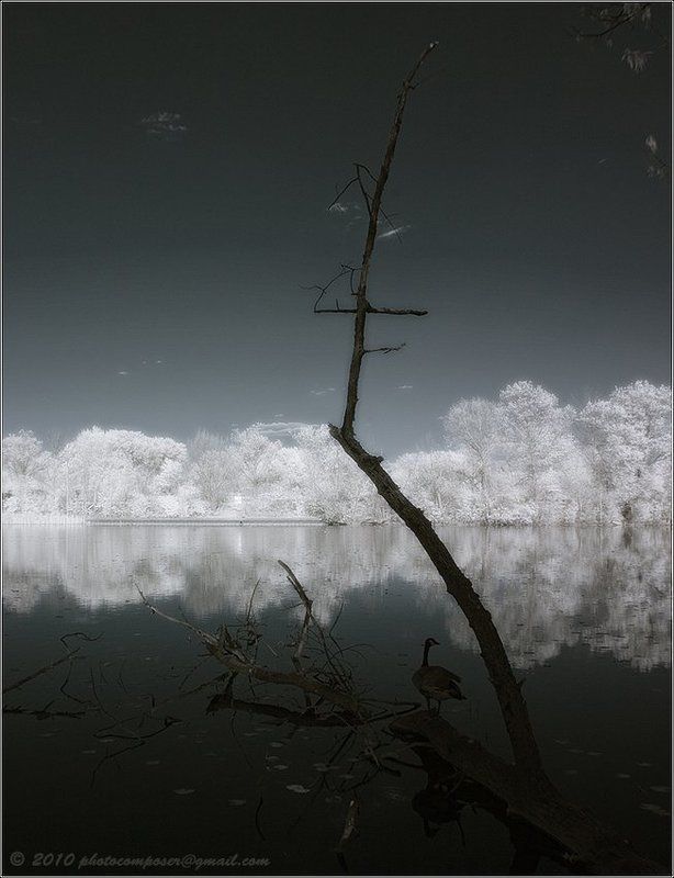 пейзаж, pilgrim, инфракрасный, infrared Emigration...photo preview