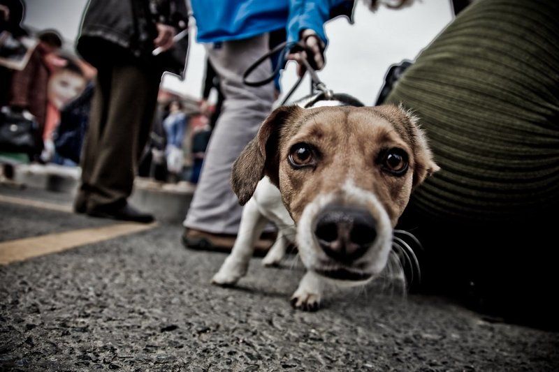 Любопытной Варваре...photo preview