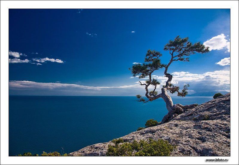 море, крым, лето Синее синее мореphoto preview