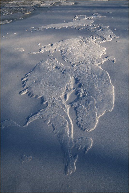 Wind Talesphoto preview