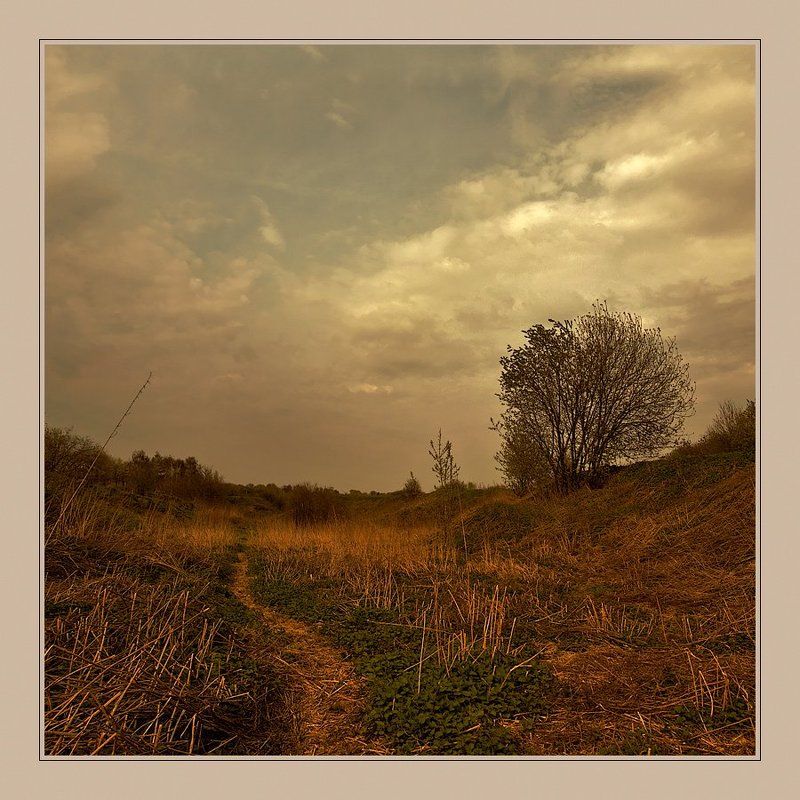 овраг, небо, трава, пейзаж, тропинка Перед дождемphoto preview