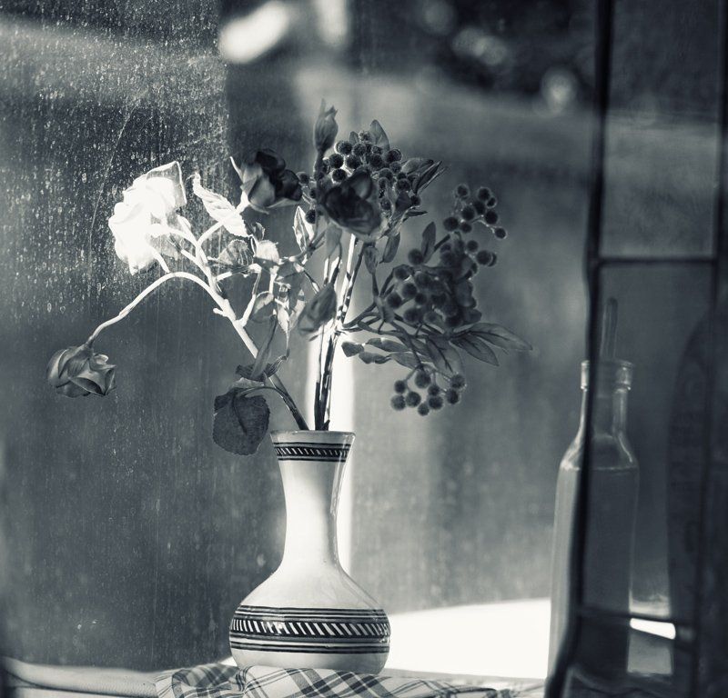 Давайте негромко...photo preview