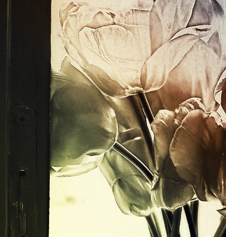 ......весенние зарисовки........photo preview