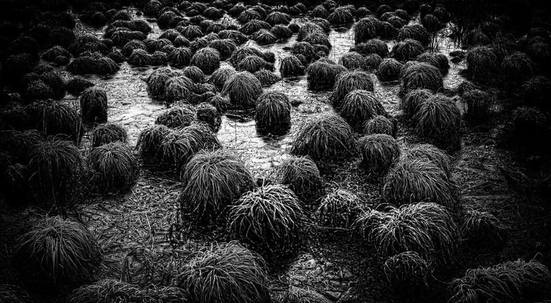 вновь бреду по бездорожью...photo preview