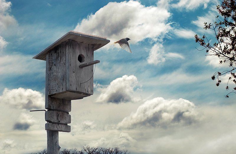 away from homephoto preview