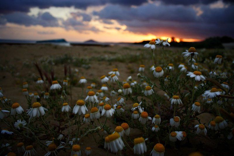 Вечерние...photo preview