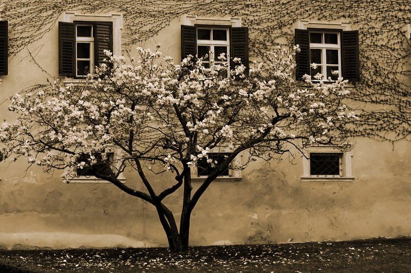 италия Этюдphoto preview