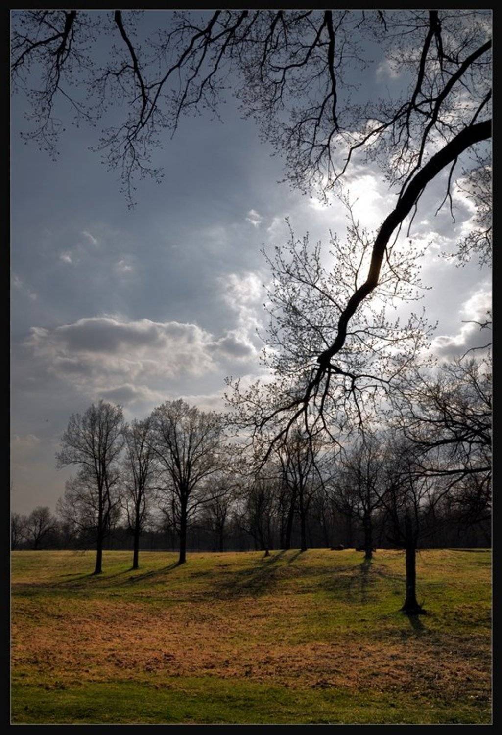 весна, пейзаж, май, природа, солнце, d5000, Andrey Zolotnitsyn