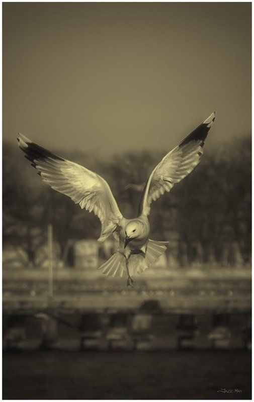 Душаphoto preview