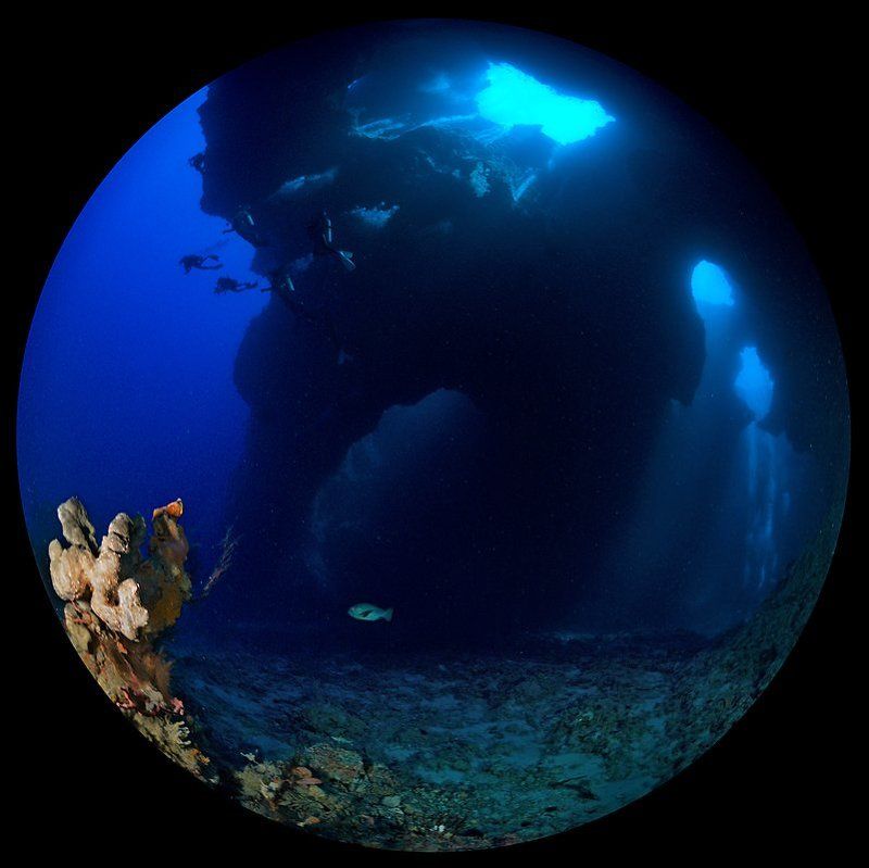 циркуляр Блюхол Палау #2photo preview