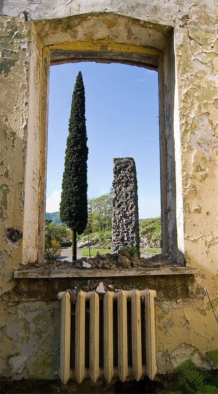 вид из окнаphoto preview