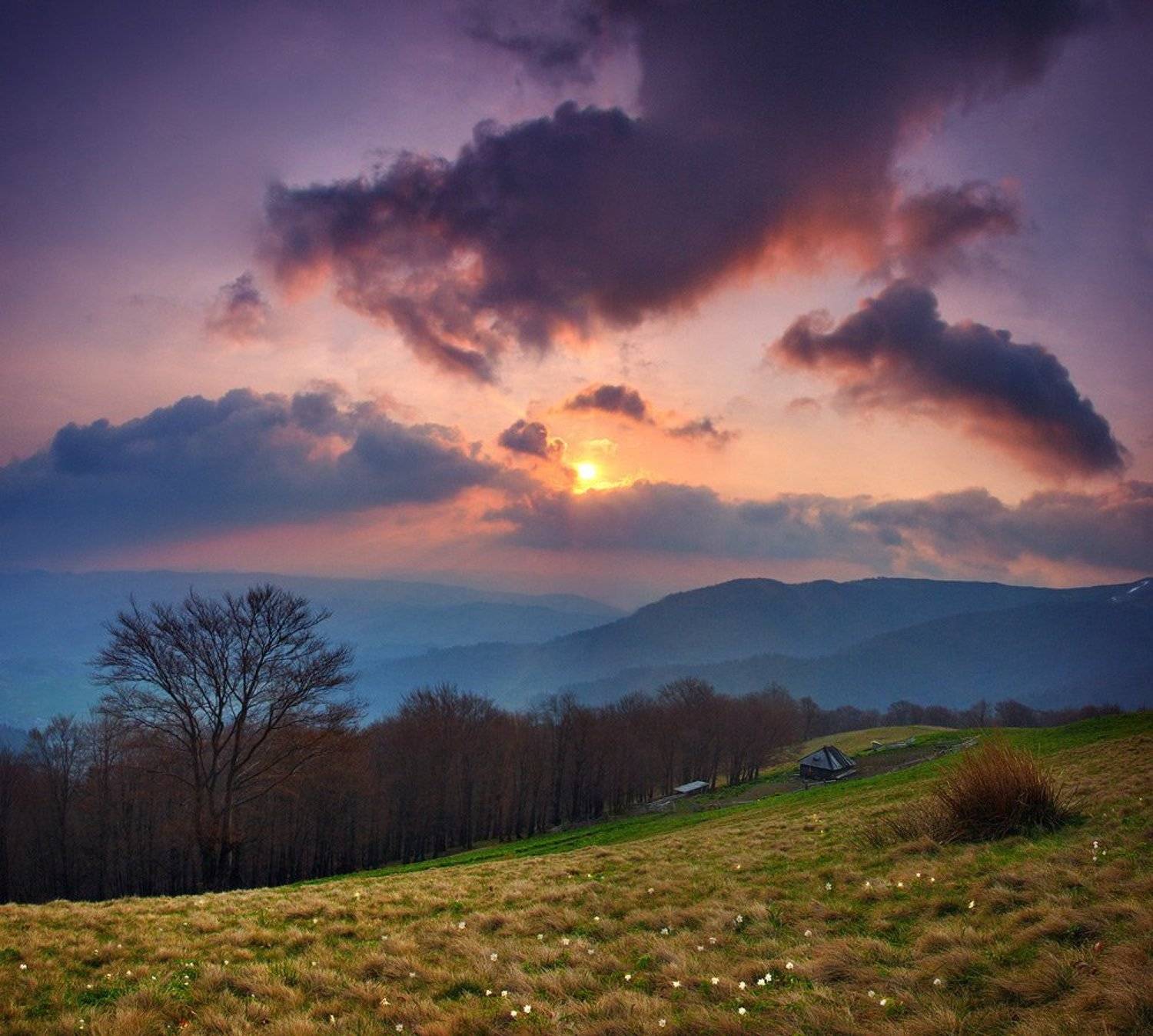 Рассветная. Автор: Kolebidenko Vladimir карпаты, божава, Kolebidenko Vladimir