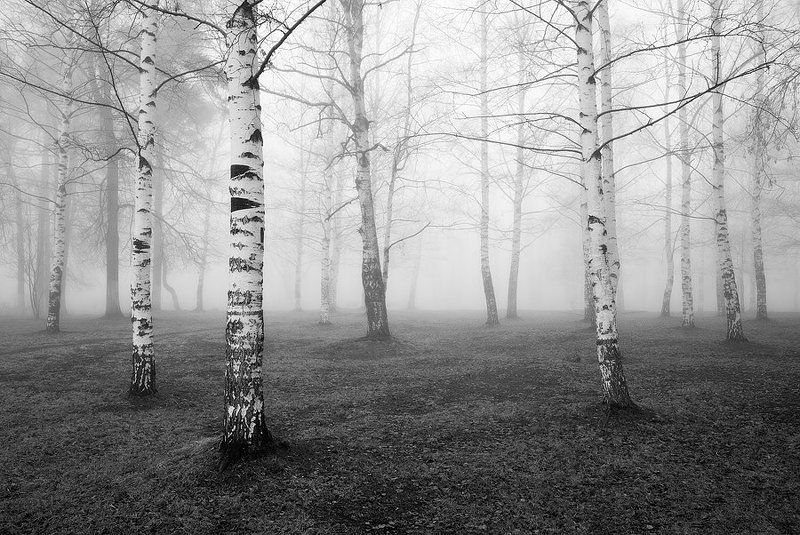 утро, туман, природа туманнаяphoto preview