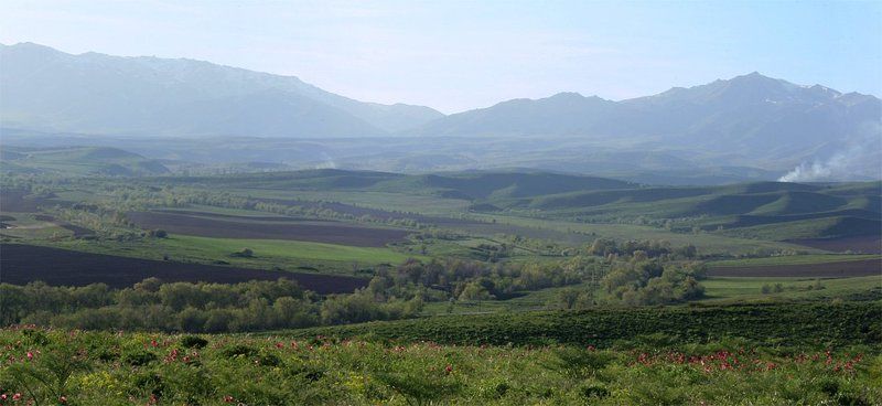 Тарбагатайские горы (Казахстан)photo preview