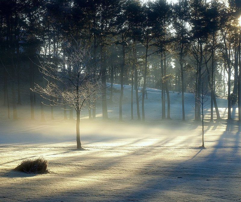 Светphoto preview