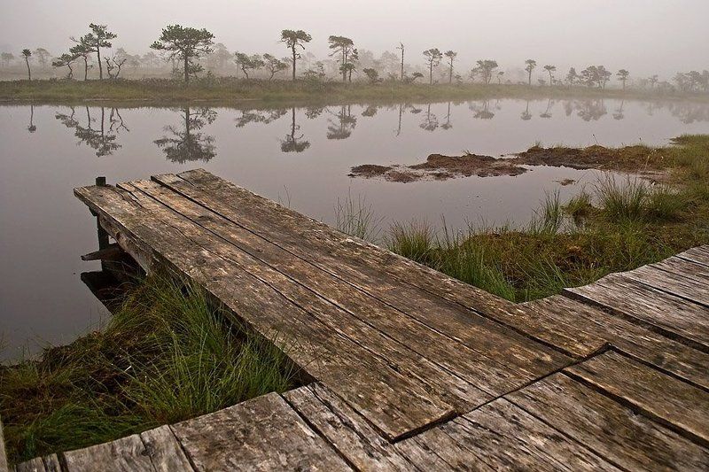 Стрела.photo preview