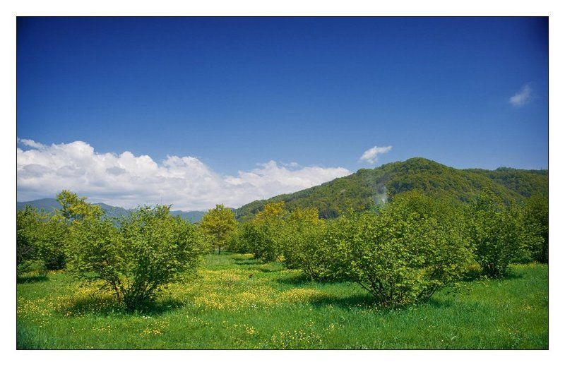 весна, май, горы, сочи 1 Mayphoto preview